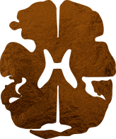 Tumores Cerebrais - Dr. Heros Almeida - Neurocirurgião em São Paulo